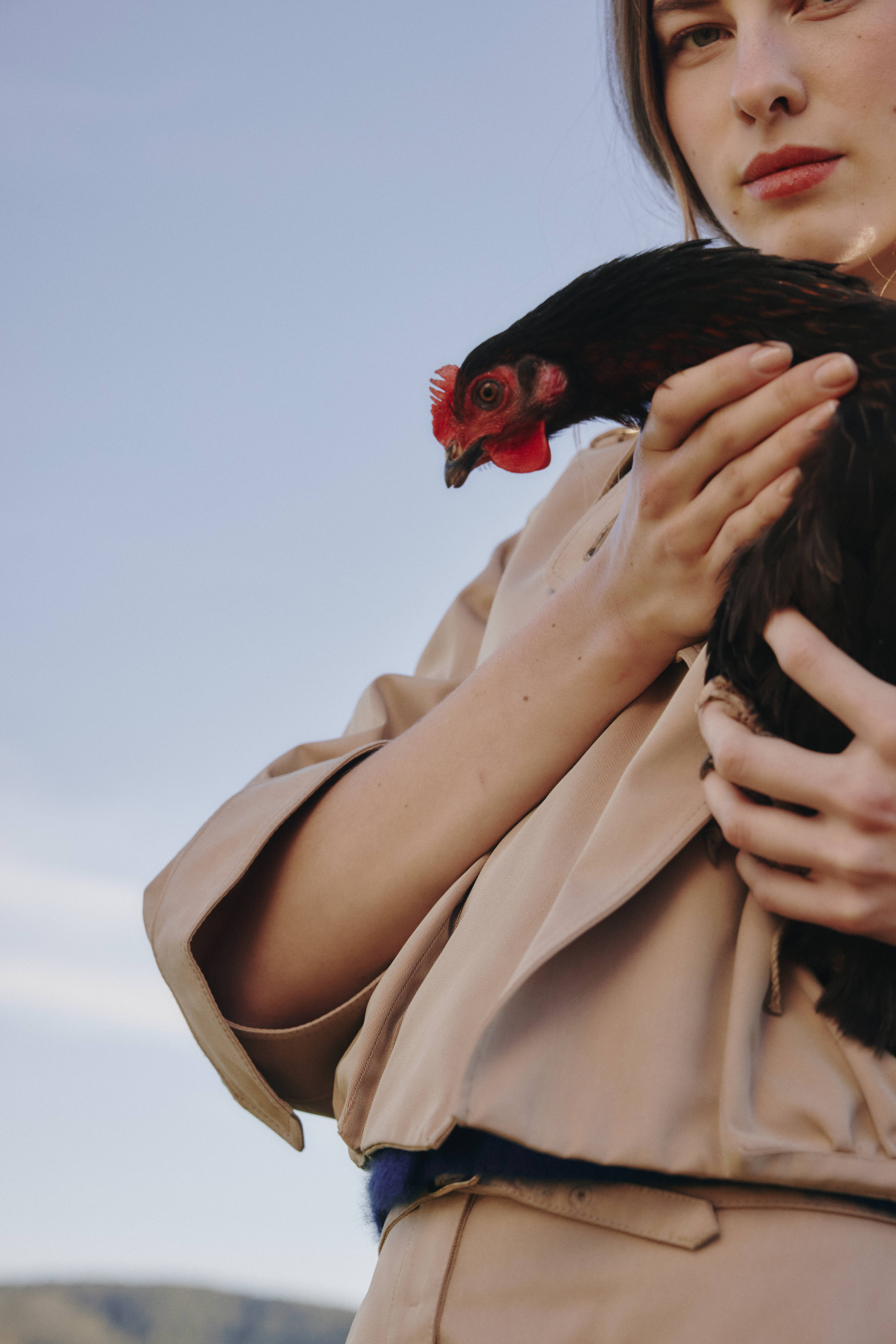 26-03-16_262_EDIT_IBIZA_16_CHICKEN_0178.jpg