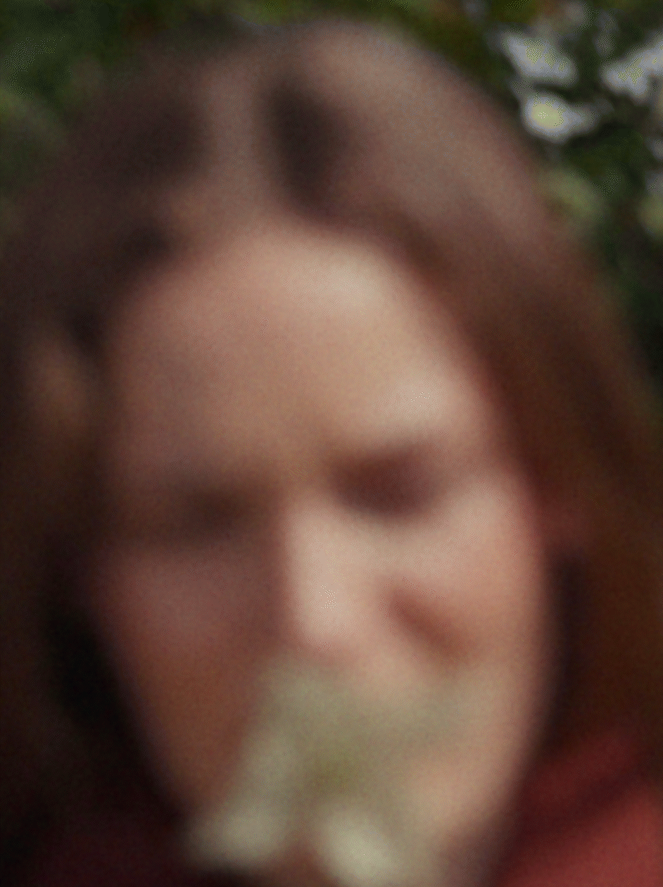 A GIF of a DOROTHEE SCHUMACHER MODEL posing with a Flower in her mouth while wearing a dark red merino shirt