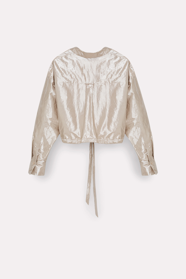 SHIMMERING EASE blouse