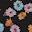 colorful flowers