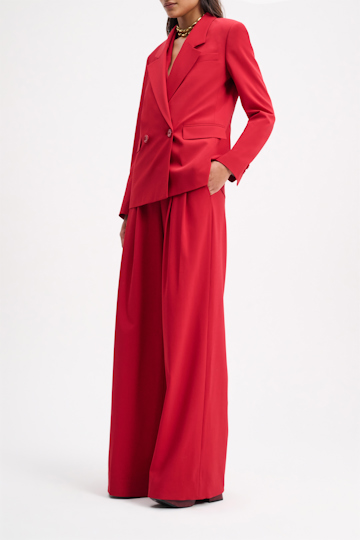 MODERN SOPHISTICATION pants