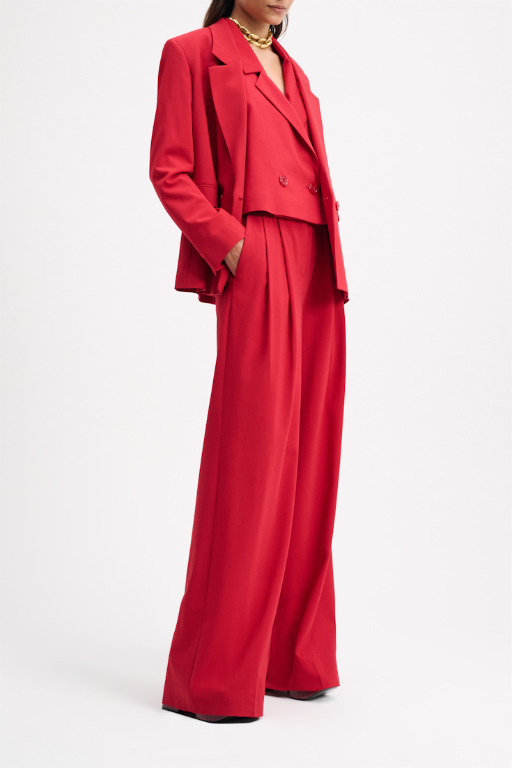MODERN SOPHISTICATION pants