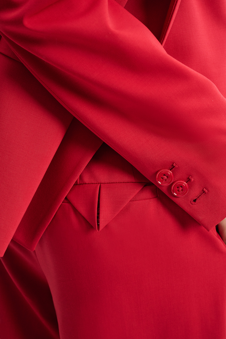 MODERN SOPHISTICATION pants