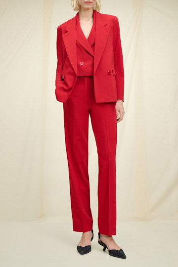 MODERN SOPHISTICATION pants