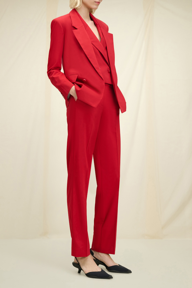 MODERN SOPHISTICATION pants