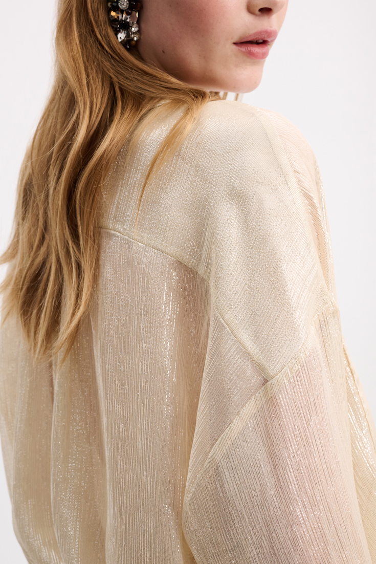SHIMMERING SHINE blouse