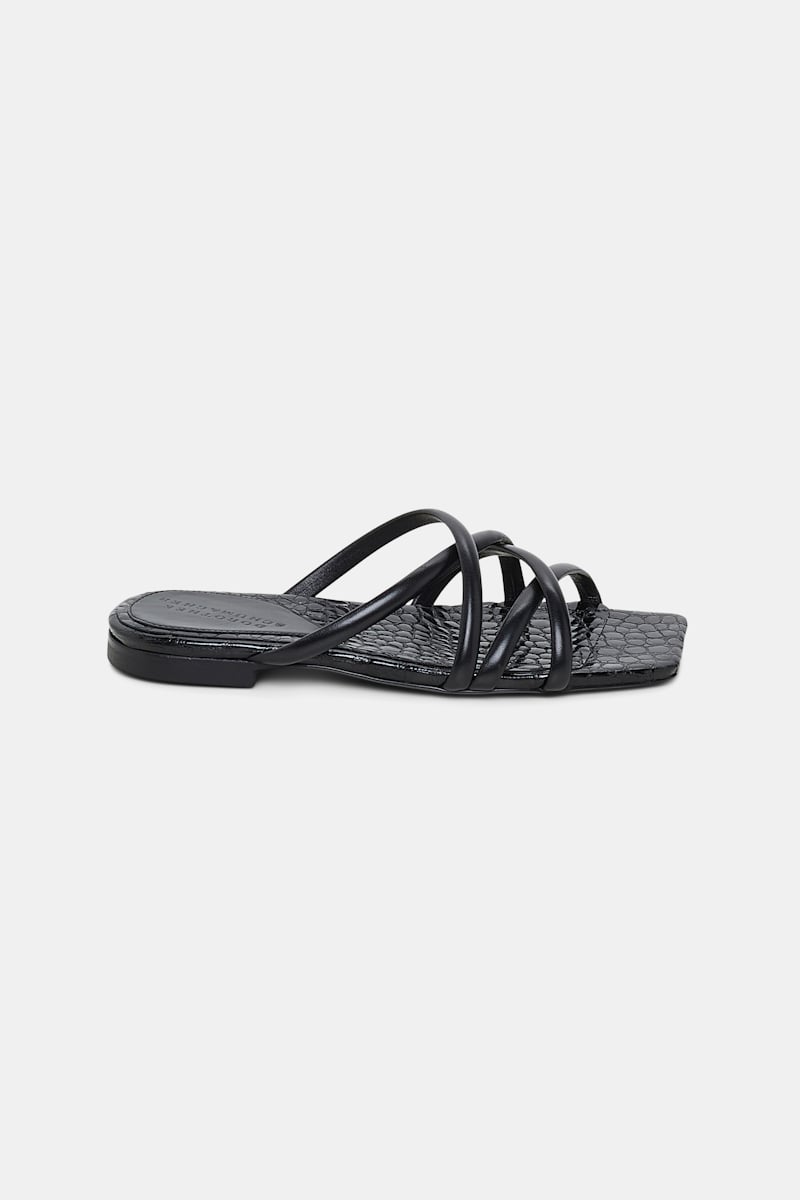 Dorothee Schumacher Square Toe Flat Strappy Sandals In Black