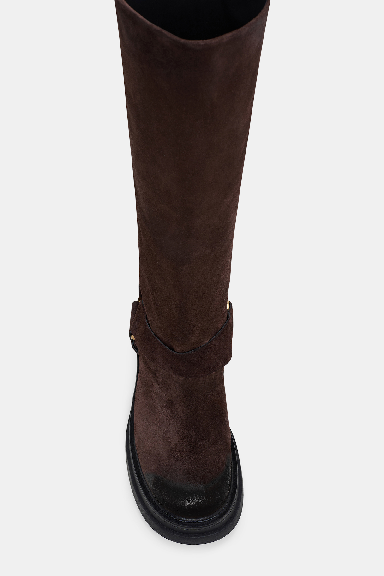 Dorothee Schumacher Hohe Combatboots aus gewachstem Wildleder mit Signature Ring-Detail chocolate brown