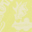 lemon white friends