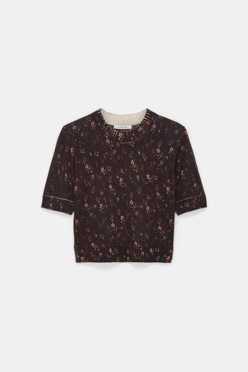 Dorothee Schumacher Wool-cashmere Floral Short Sleeve Pullover In Brown