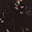 winter blossom dark brown