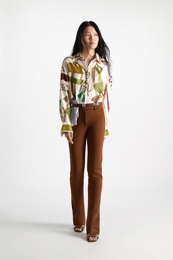COSMIC FUNGHI blouse