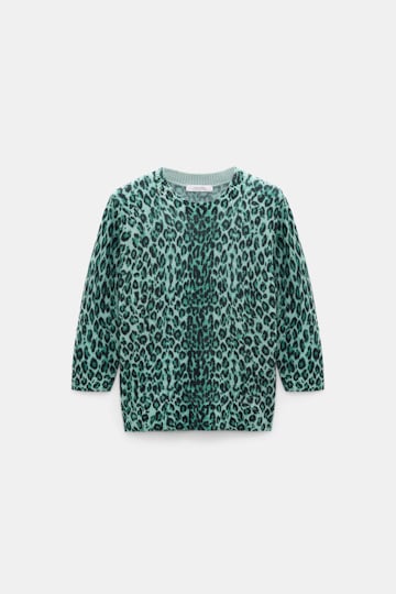 Dorothee Schumacher Merino-cashmere leopard print pullover leo allover green Product Front View