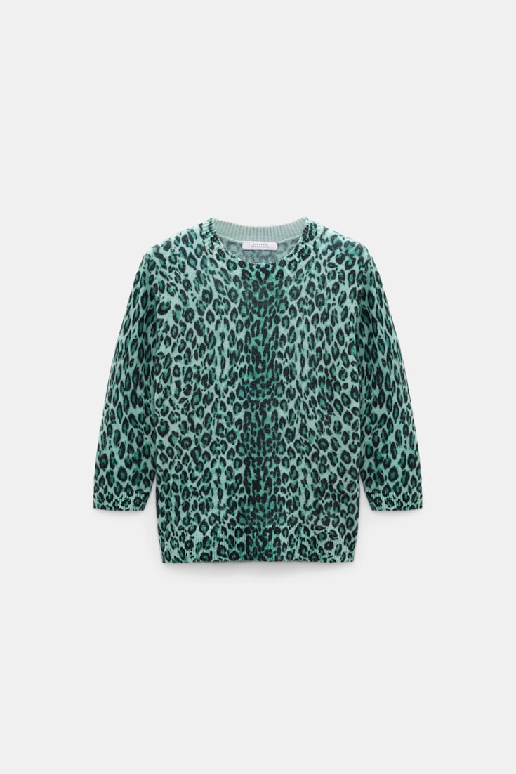 Dorothee Schumacher Merino-cashmere leopard print pullover leo allover green Product Front View