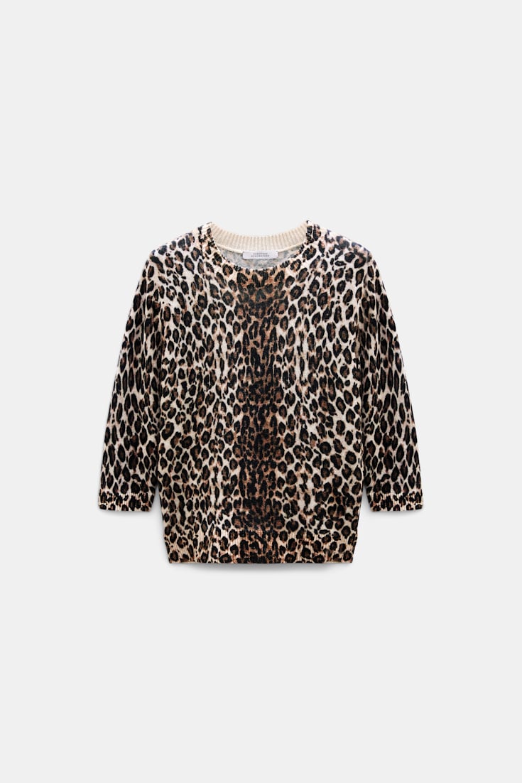 Dorothee Schumacher Merino-cashmere leopard print pullover leo allover brown Product Front View