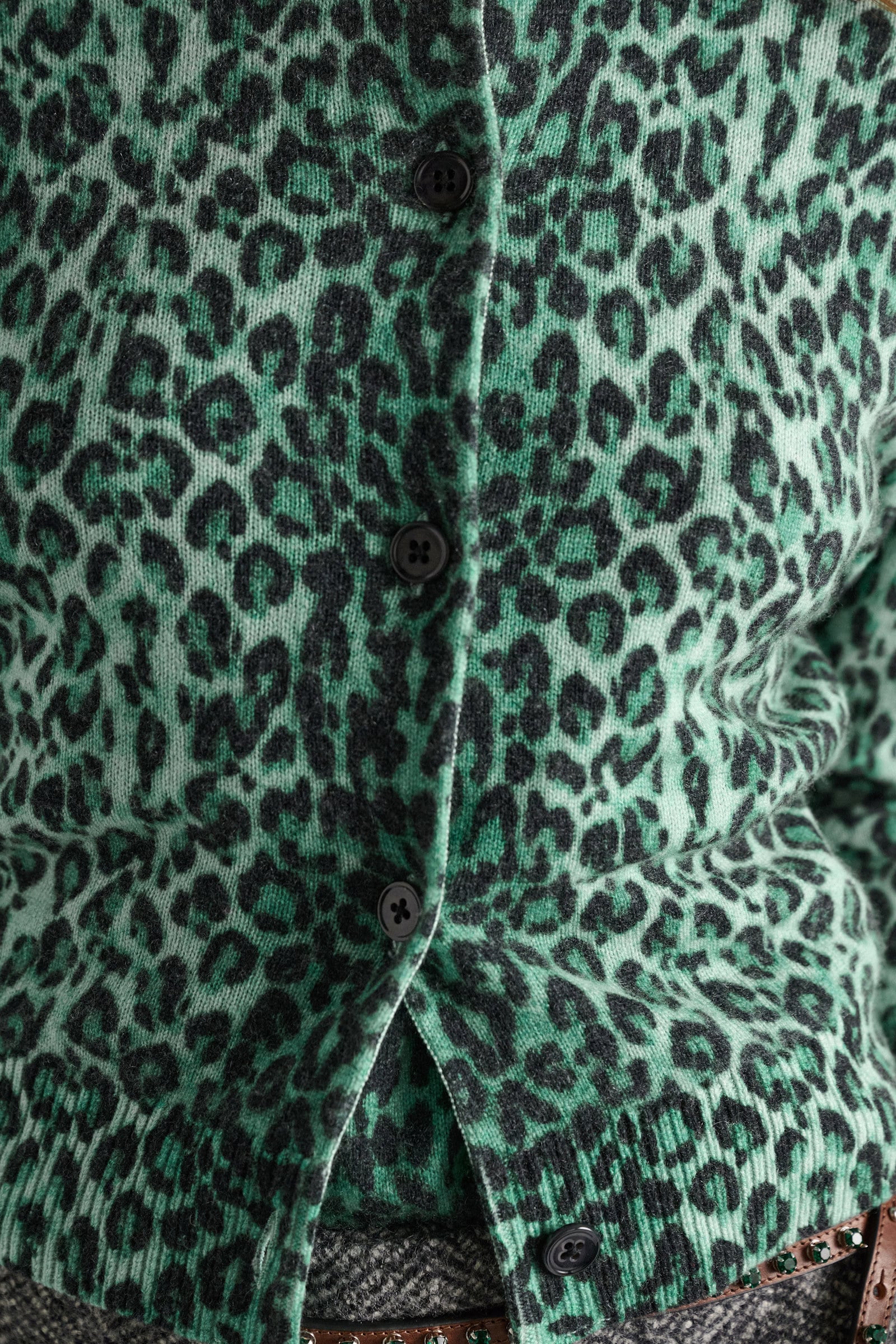 Dorothee Schumacher Merino-cashmere leopard print cardigan leo allover green Model Detail View