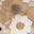multi flower camel